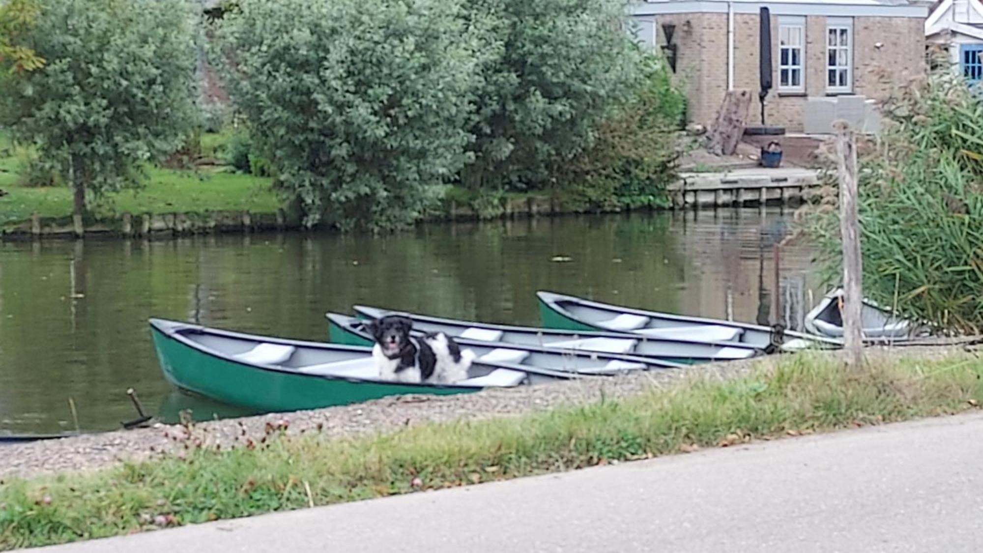Buitenplaats Medemblik Exterior foto